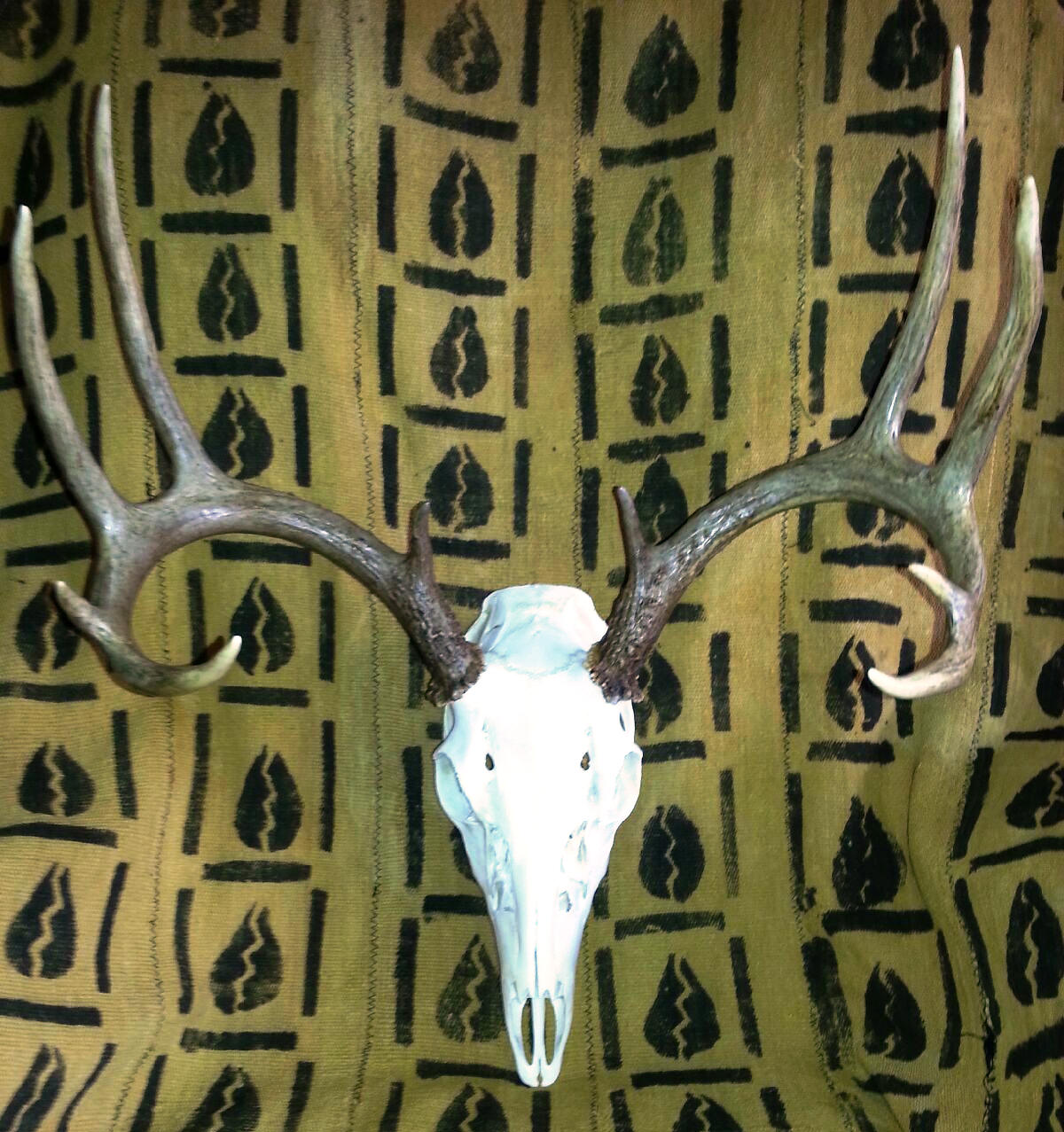 Adam's 2012 Archery Buck