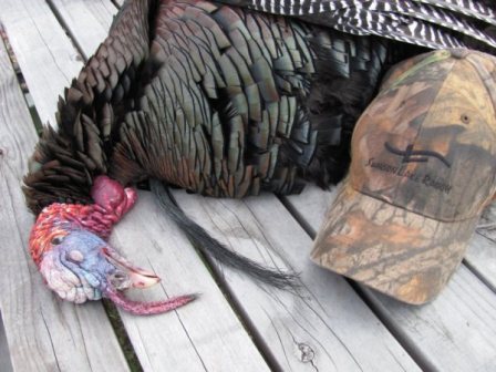Elissa's Turkey