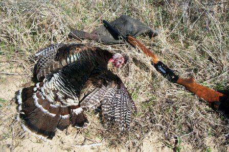 Jean's First Turkey