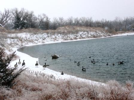 Decoy Spread at Duck Blind Pond