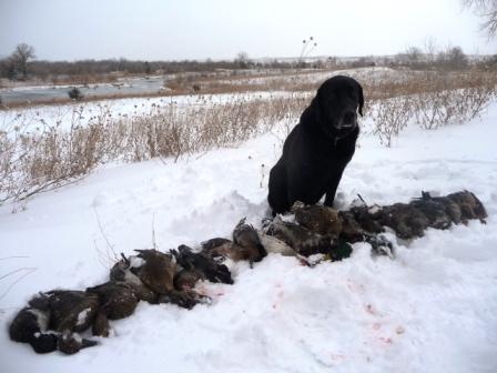 Trigger DU Hunt